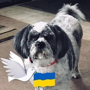 Meet your Posher, Jim